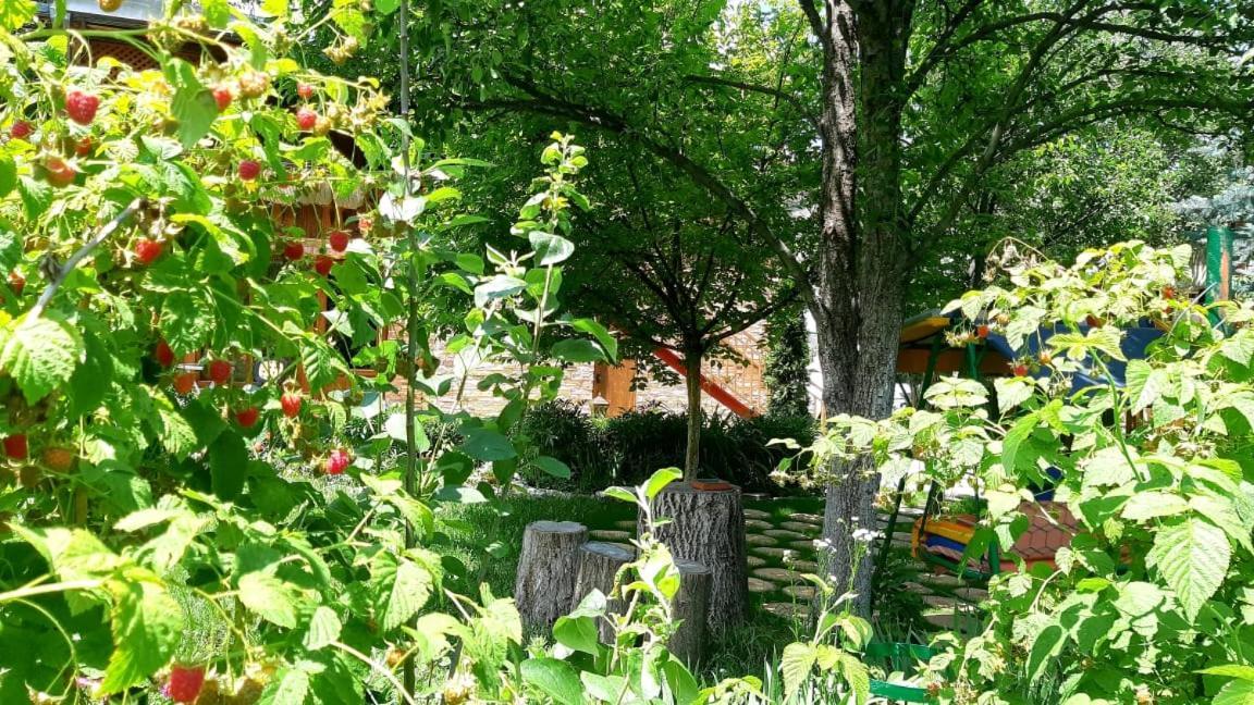 Maghay B&B Hotel In Ванадзор Екстериор снимка